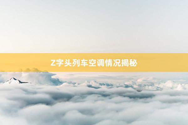 Z字头列车空调情况揭秘